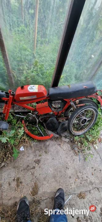 Ogar 200 600zl Wierzbinek sprzedam