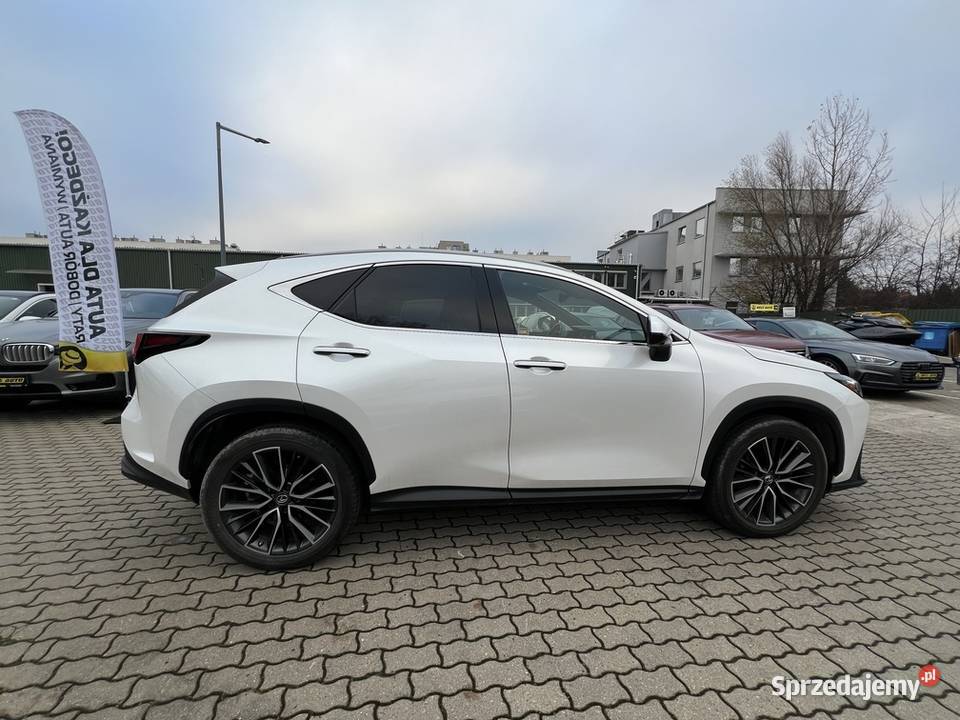 Lexus NX 300 2022 4/5