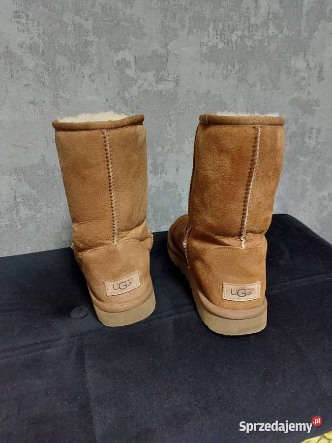 Sniegowce ugg classic short ll Grudziądz sprzedam
