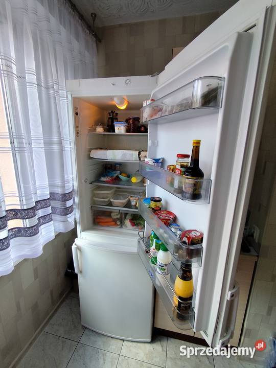Lodówka Whirlpool 1875 ARC57541 klasa A Lodówki i zamrażarki Piotrków Trybunalski
