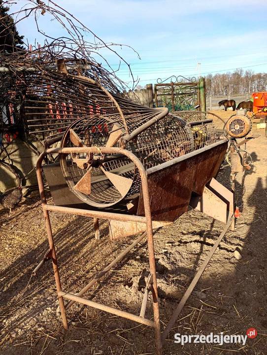 Sortownik do ziemniaków sprzedam Ignacew Parzęczewski