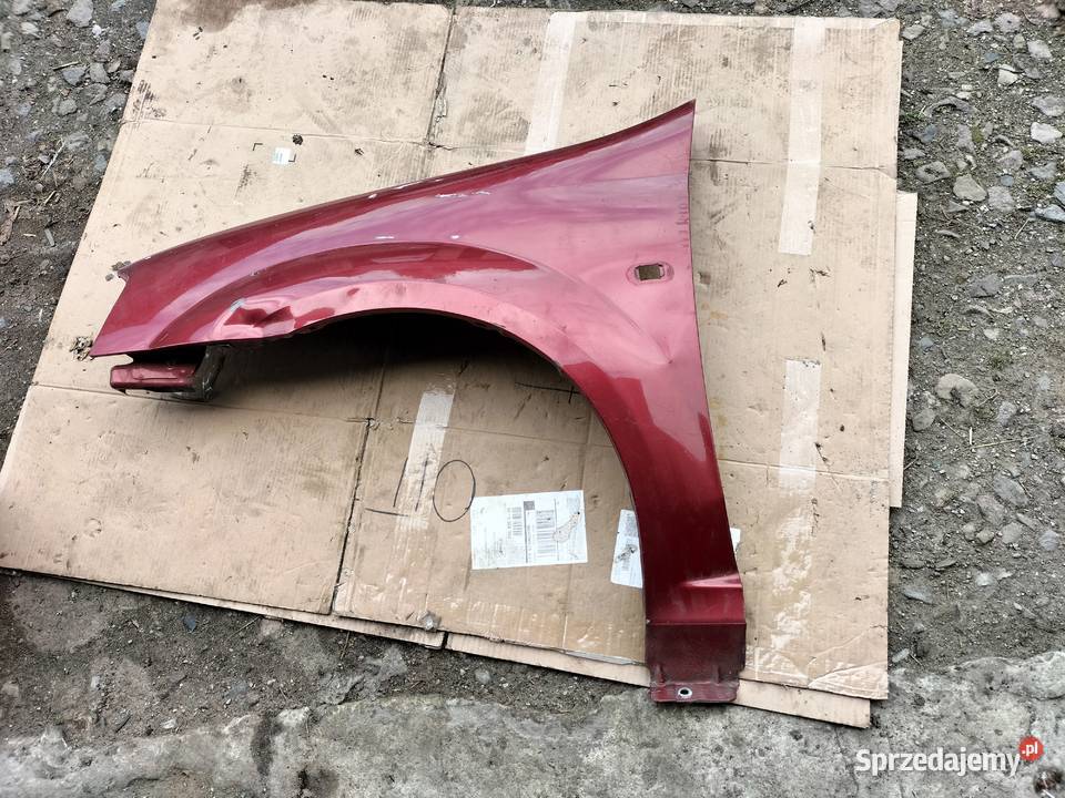 DACIA LOGAN I BŁOTNIK LEWY PRZÓD Kamień-Kolonia