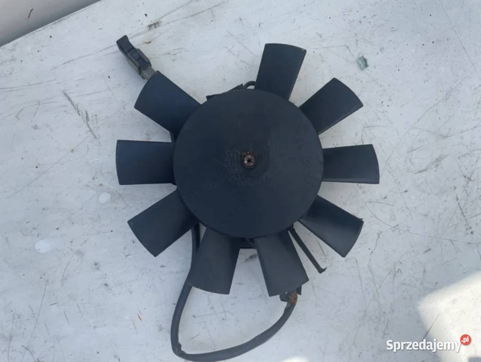 Wentylator Triumph Speed Four 600 806LB 0206 Ostrzeszów sprzedam