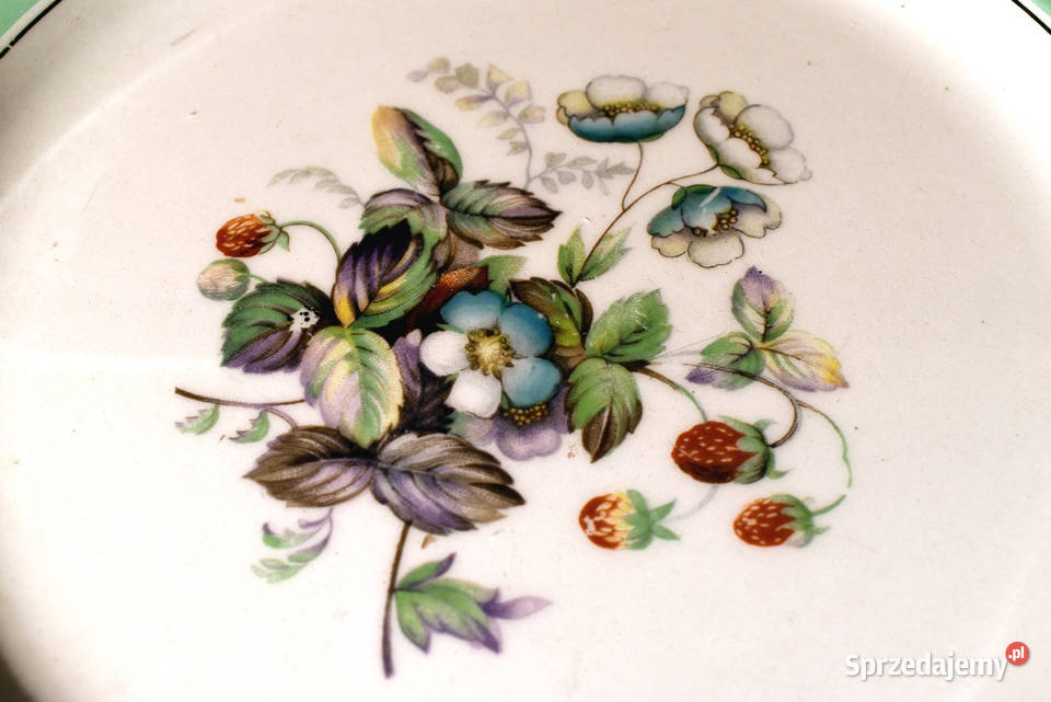 Zestaw obiadowy DUCAL CROWN Strawberry fair Niepołomice sprzedam