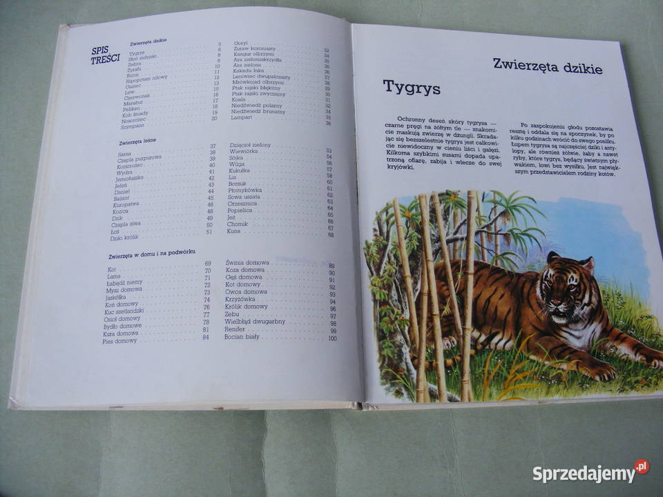 Atlas zwierząt z lwem Mój barwny atlas zwierząt twarda Oborniki Śląskie