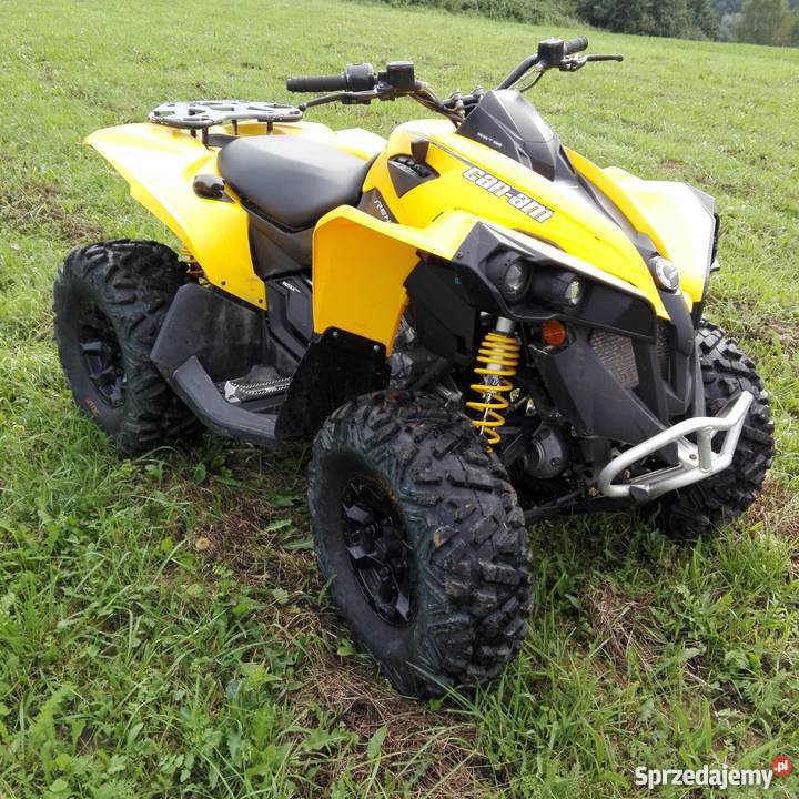 Can am renegade g2 800