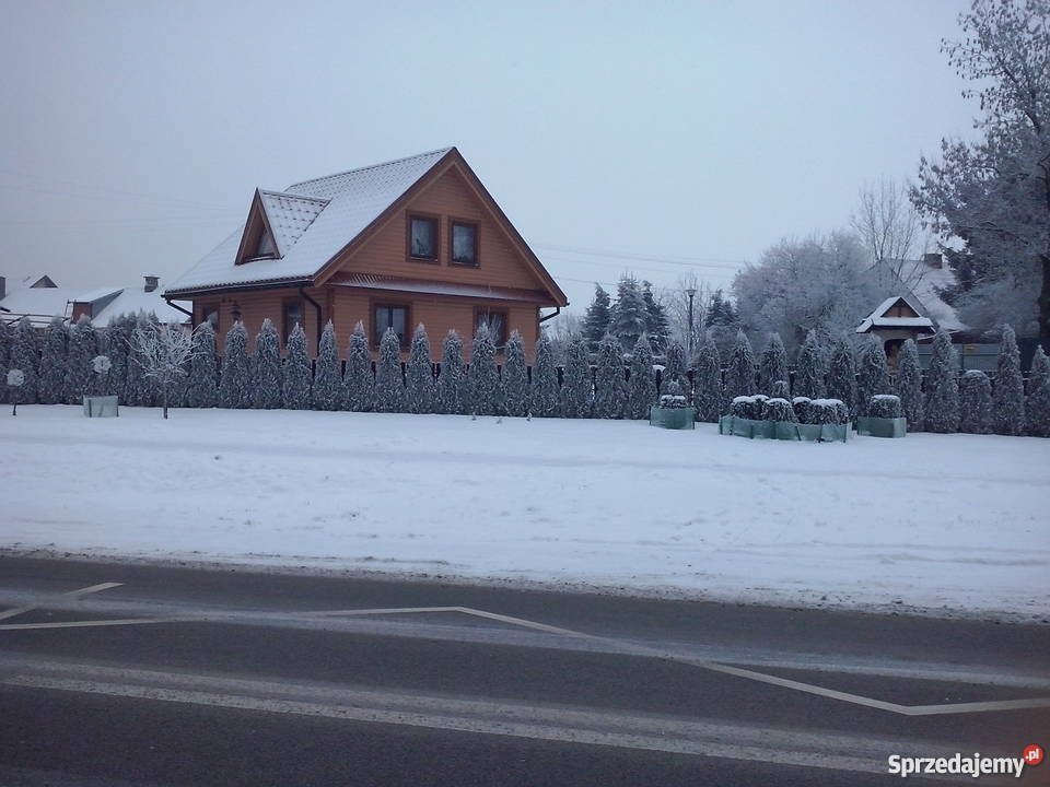 Kanadyjczyk lubelskie