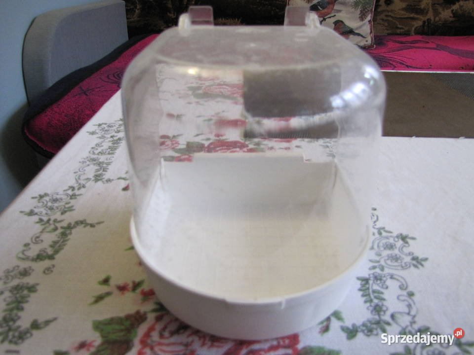 Basen ptaków Toruń