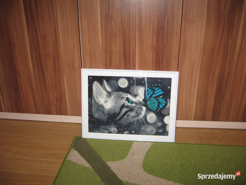 Obraz KOT wykonany techniką haftu diamentowego Olsztyn