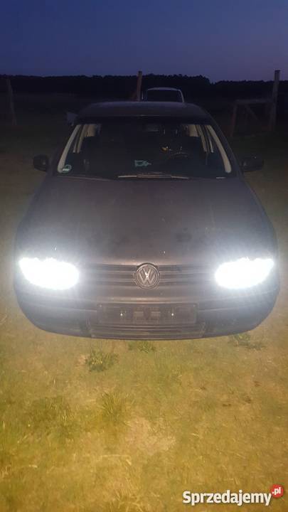 Golf 4 14 1999r reflektory ksenonowe Słubice sprzedam
