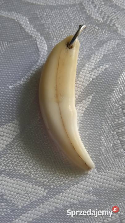 NATURALNY KIEŁ JAKO PRZEWIESZKA wielkopolskie Piła