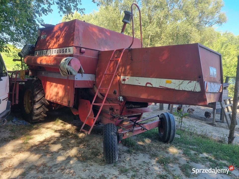 Sprzedam kombajn massey ferguson 307 Osiek sprzedam