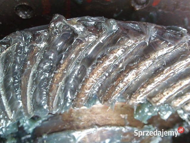 Przekładnia kątowa ślimakowa 2 do 1 Chrzanów