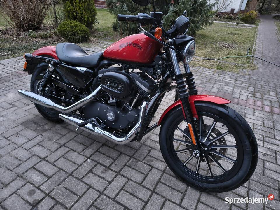 Sportster Iron 883 polski salon niski przebieg Motoryzacja