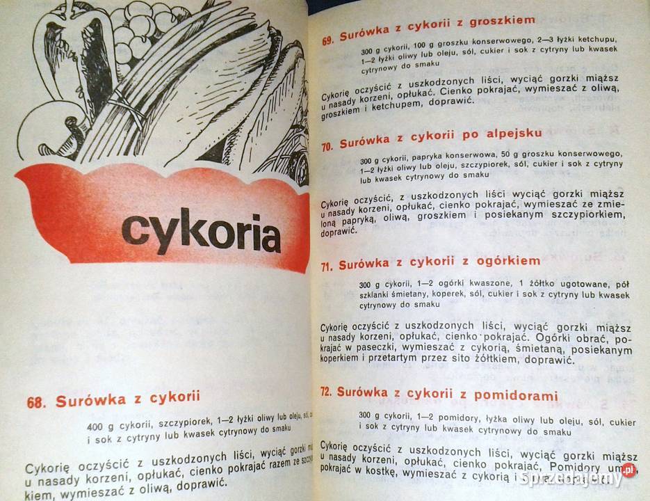 Bukiet z warzyw Część 2 Henryk Dębski miękka Chełm