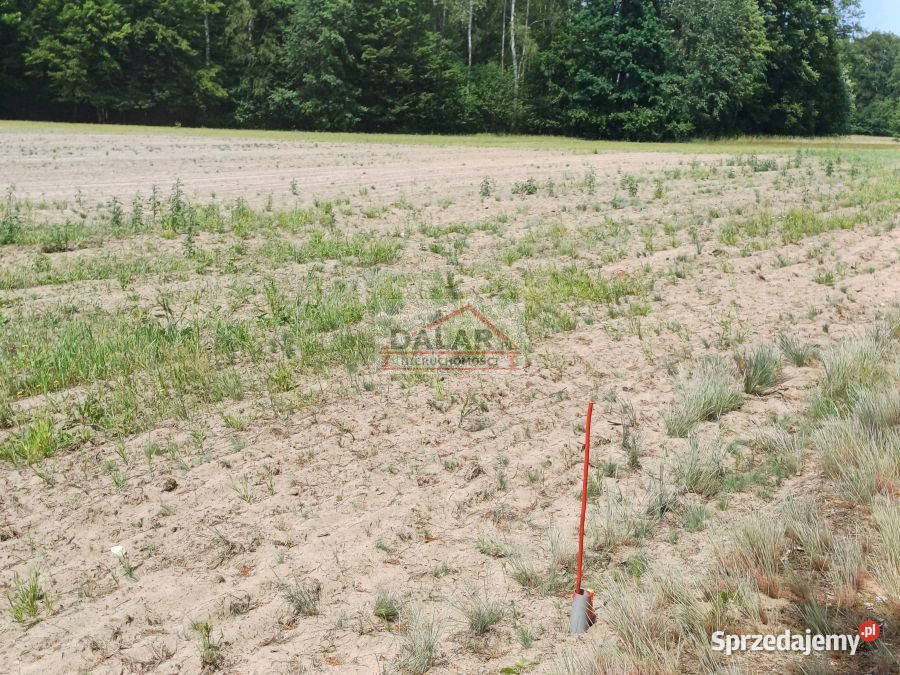 sprzedaży gruntu 2106m2 Wola Pieczyska 120zł/m2 Nieruchomości