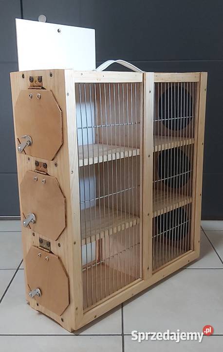 transportówka sześć cel Dla ptaków