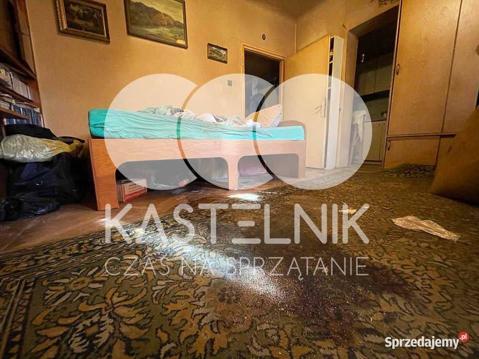 Dezynfekcja i sprzątanie zgonach Solec Wisłą