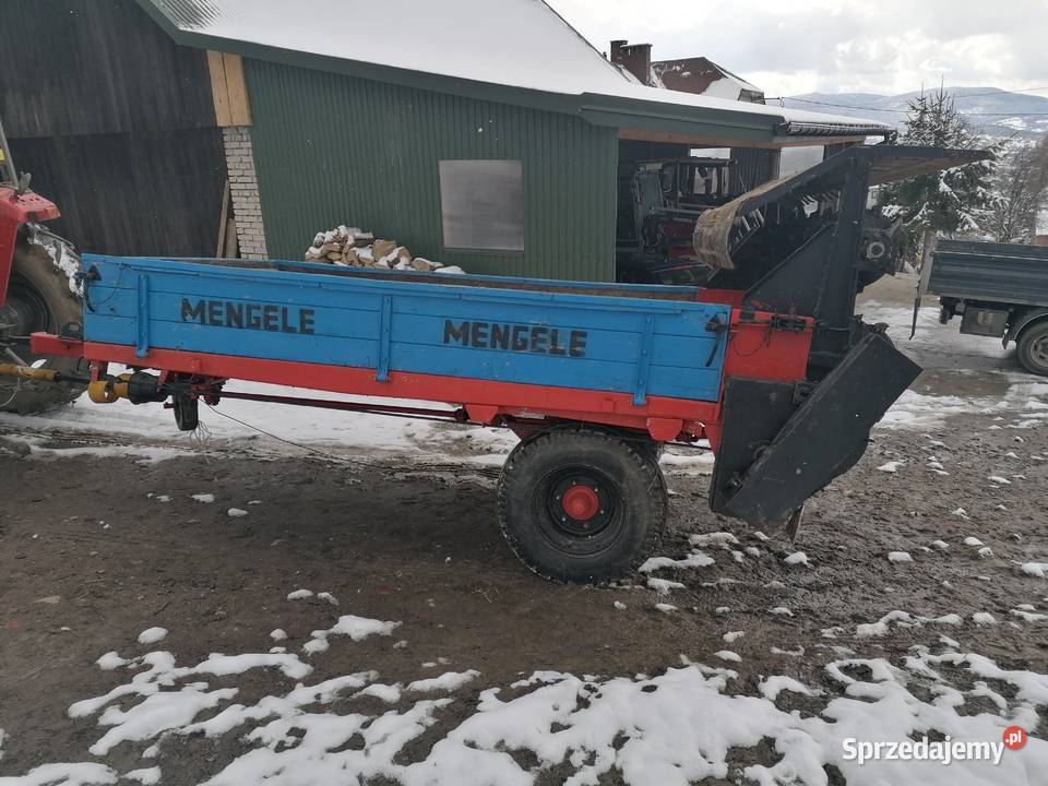 ROZRZUTNIK OBORNIKA MENGELE Limanowa