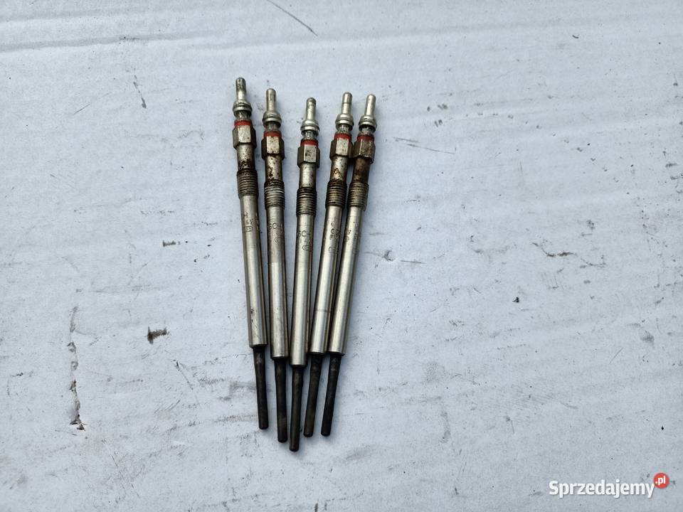 Świece żarowe oryg Komplet Volvo 24 D5 180 Części Szczecin