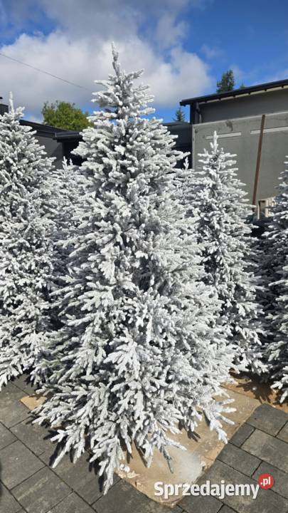 Choinka Sztuczna Świerk Natura ze ŚNIEGIEM 3D
