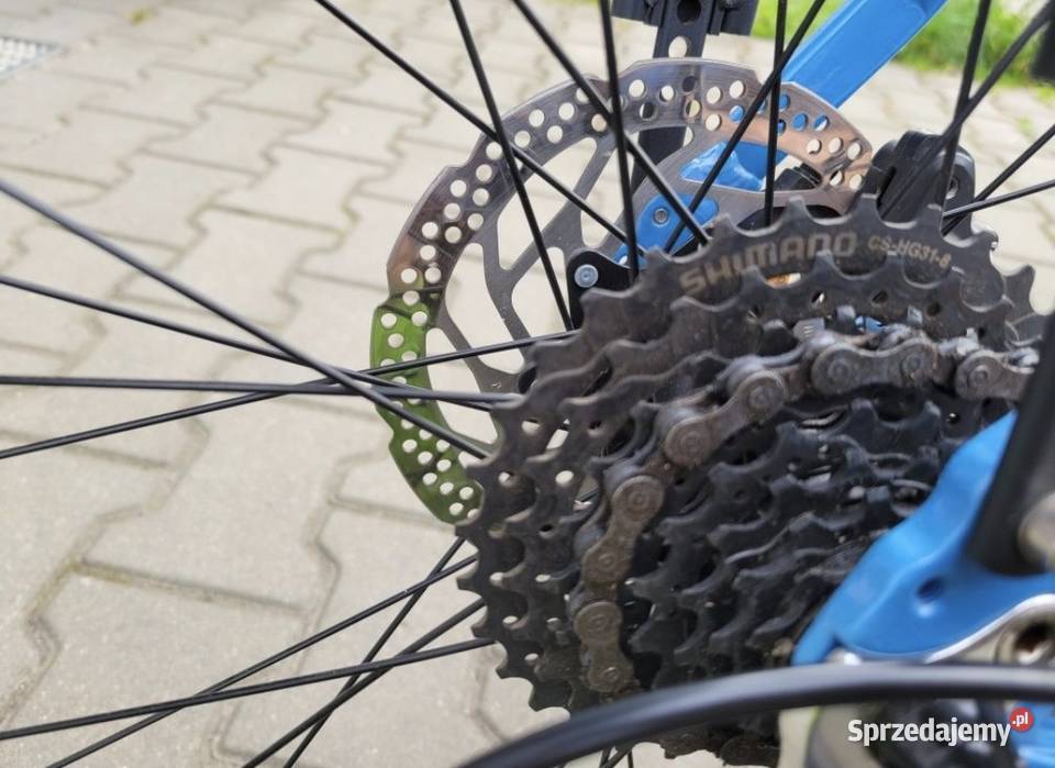 Rower Carver zachodniopomorskie Złocieniec