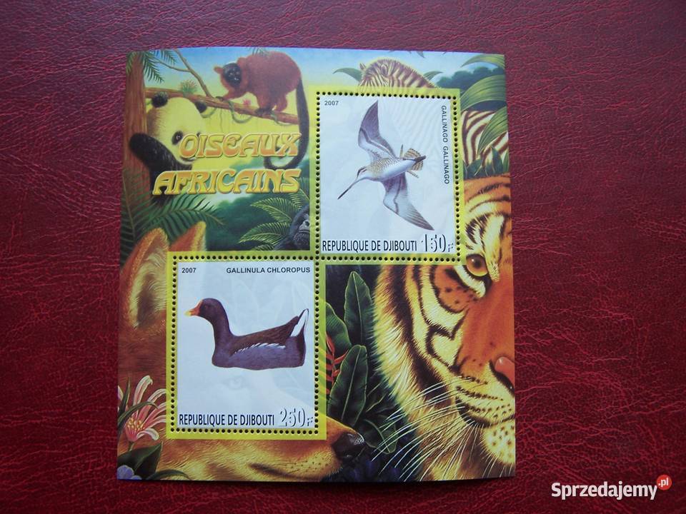 Dżibutti 2011 MNH Fauna Ptaki Tychy