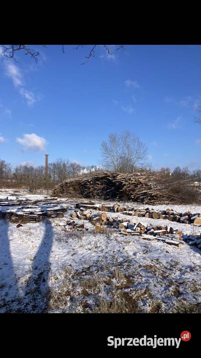 Biomasa energetyczna 4000 pln z 1 mp3 Wołów