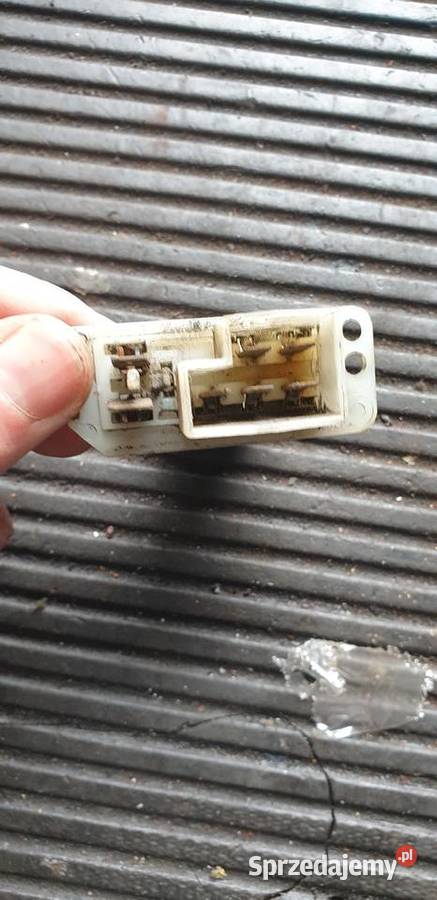 Opornica corsa b Puławy