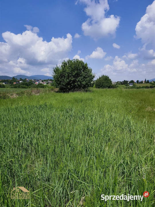 Działka Lipowa 1507m2 Sprzedaż