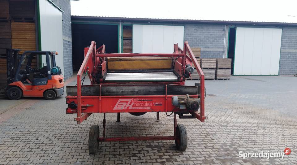 Kosz przyjęciowy do warzyw Skalbmierz sprzedam