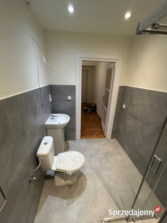 mieszkanie 4267m2 w centrum do wynajęcia 2