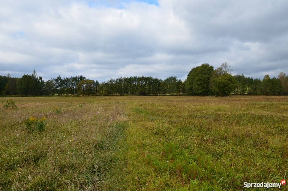 Piękna działka jez Białe 1185m2 Grunty i działki Gostynin