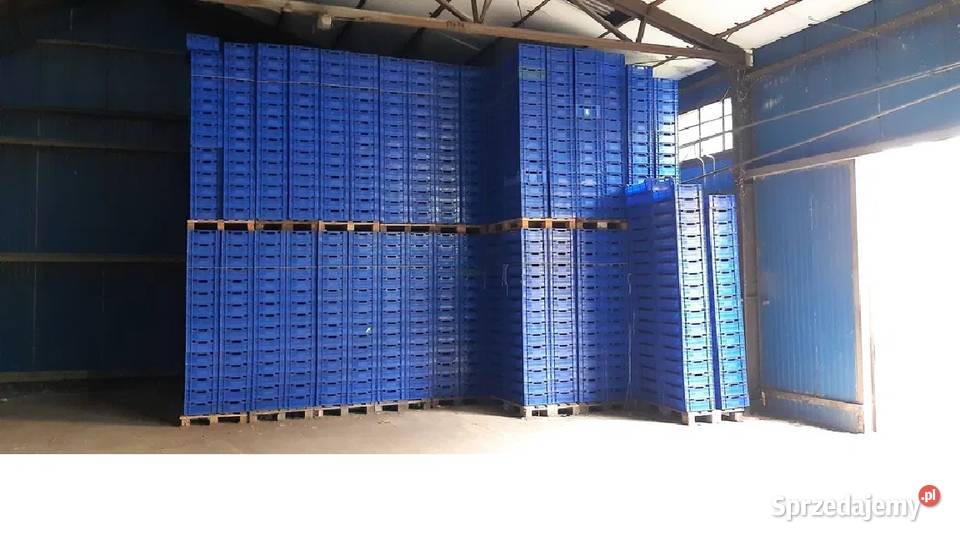 Skrzynka plastikowa na owoce i warzywa 10 Kartuzy