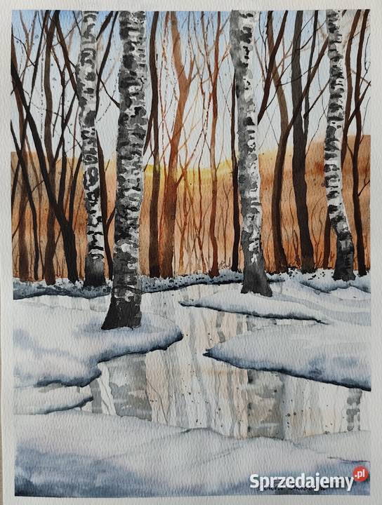 Akwarela Akwarelka Obraz pt Czar Brzóz Opole sprzedam