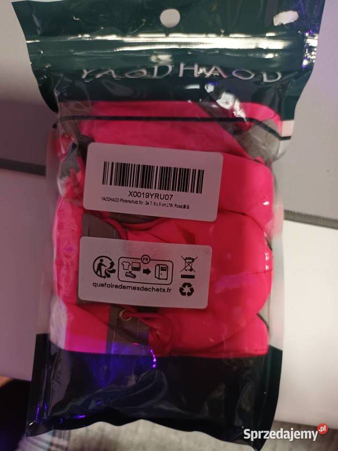 Buty małego psa york Stanisławów