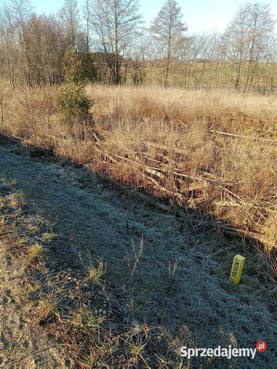 Działka budowlana 10 arów Jedwabne