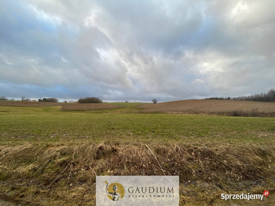 Działka w Pomieczyńskiej Hucie utwardzona Pomieczyńska Huta