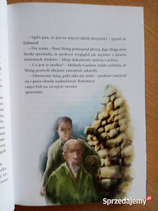 Kroniki Archeo Przepowiednia synów słońca Dąbrowa Górnicza sprzedam
