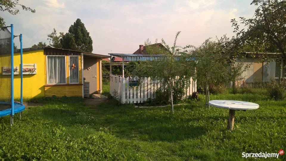 sprzedam ogródek działkowy Płock