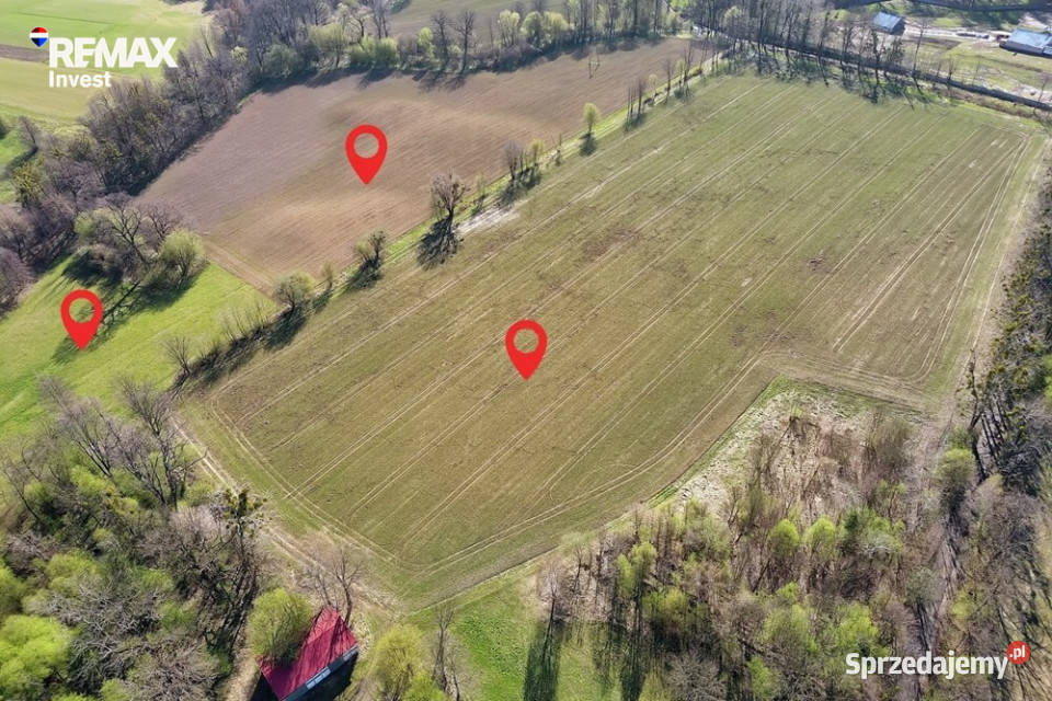 Działka inwestycyjna w Beskidach 265 ha Sprzedaż Pogórze