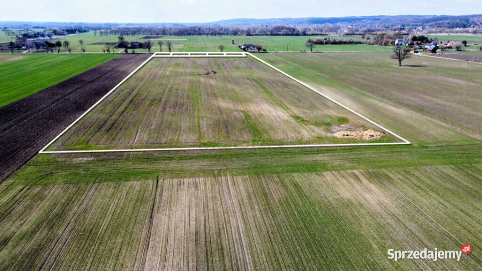 Grunt 449 ha z koncepcją 5 domów Jenin