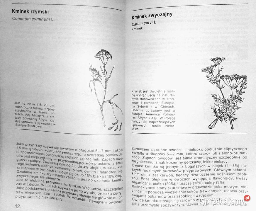 Ziołowe przyprawy kuchenne Zenon Węglarz Pozostałe Chełm sprzedam
