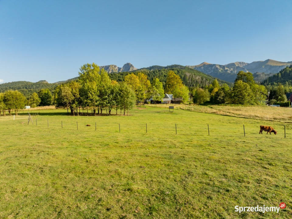 Działka rolna 3115 m Kościelisko 46m małopolskie