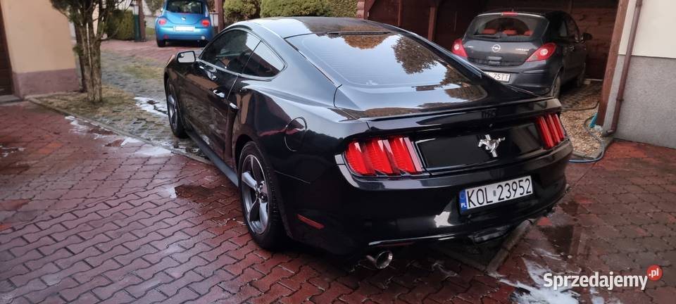 Sprzedam Forda Mustanga 37 z 2015 roku małopolskie Bolesław sprzedam