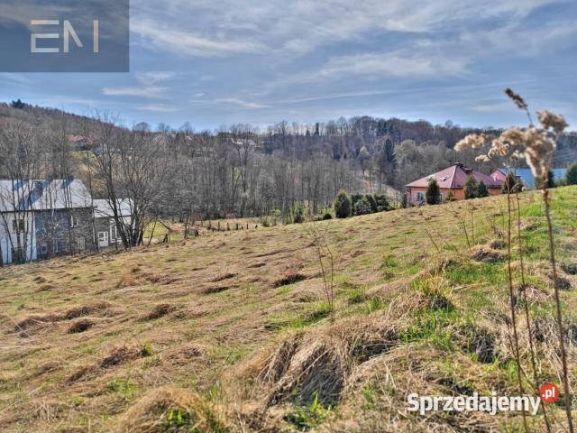 sprzedaży gruntu Wesoła 2500m2 Sprzedaż podkarpackie