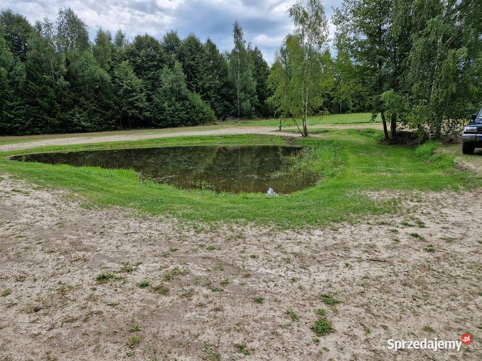 Urokliwa działka rekreacyjna ze stawem warmińsko-mazurskie Lubomino
