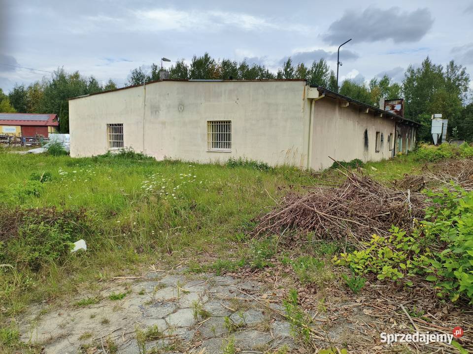 Sprzedam działający biznes lakiernia proszkowa i Sosnowiec