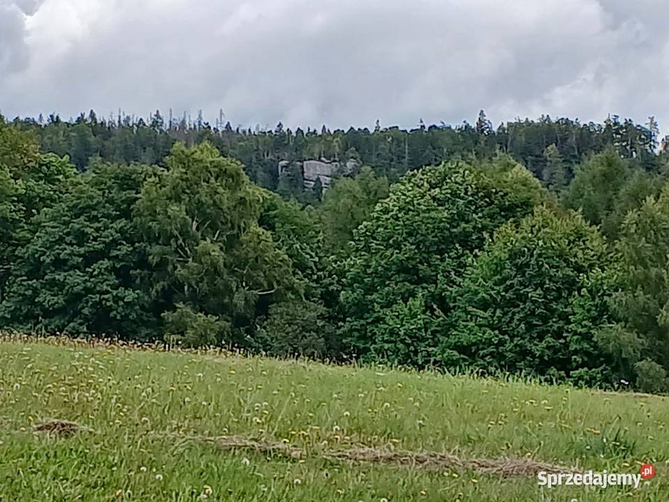 Działka rolno budowlana z planem 3000m2 Łężyce