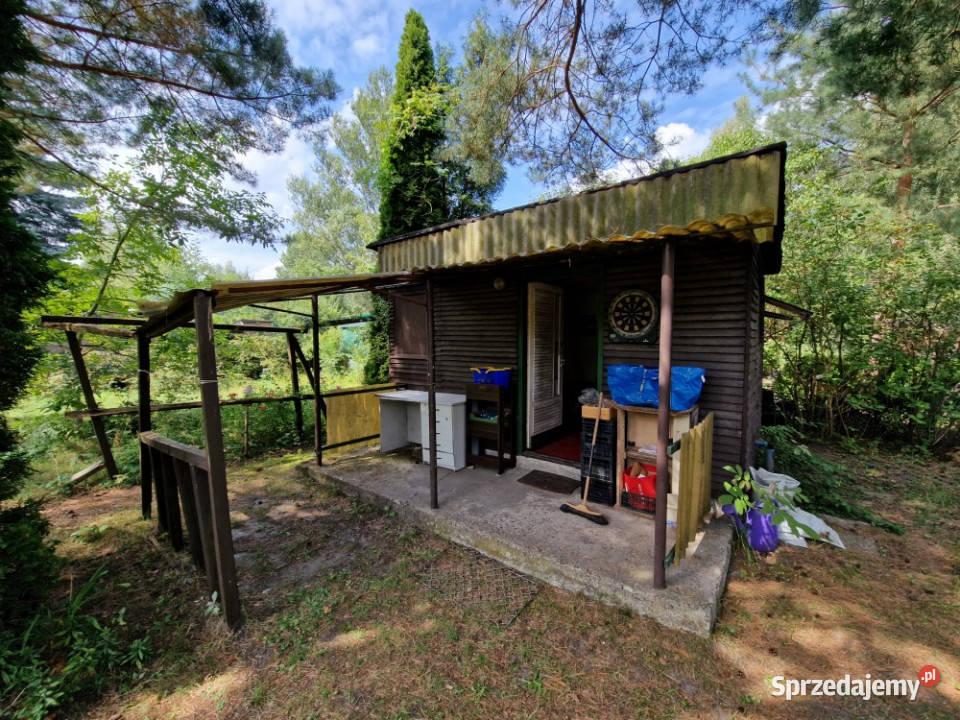 Działka Rekreacyjna ROD 500m2 Paluch 1 Włochy Sprzedaż Warszawa